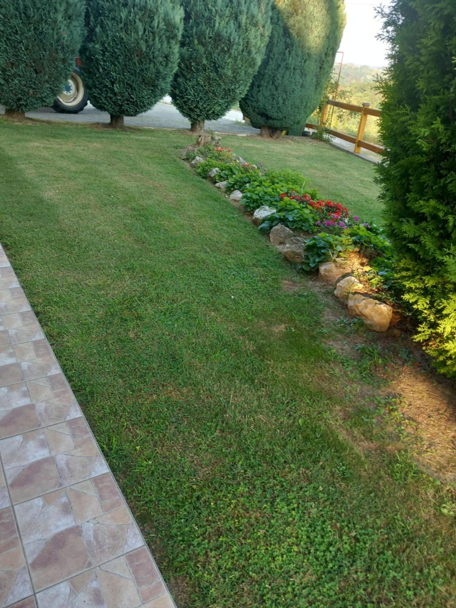 Ruralna Kuca Za Odmor Golub Villa Skaricevo Dış mekan fotoğraf